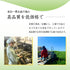粗加工 Hachijuhachiya 深蒸煎茶 100g 新茶 2023